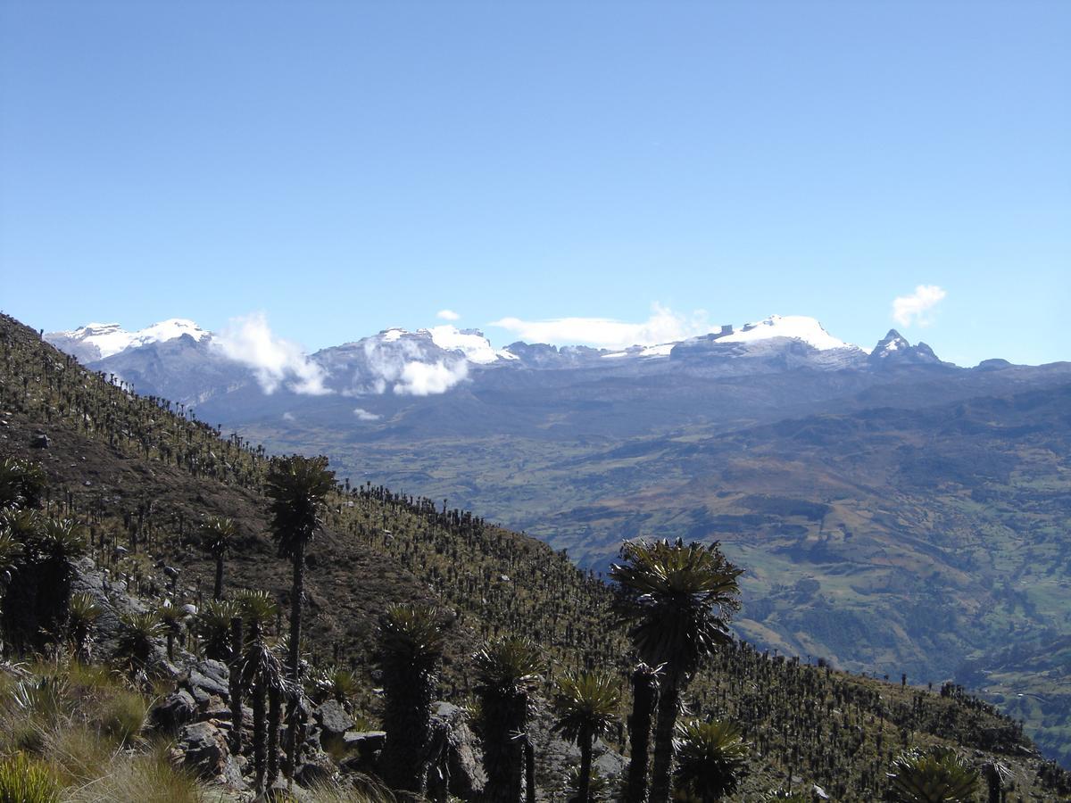 Hotel San Gabriel El Cocuy Bagian luar foto